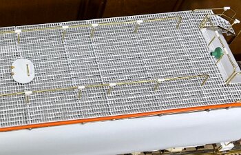 CWRR-260619g